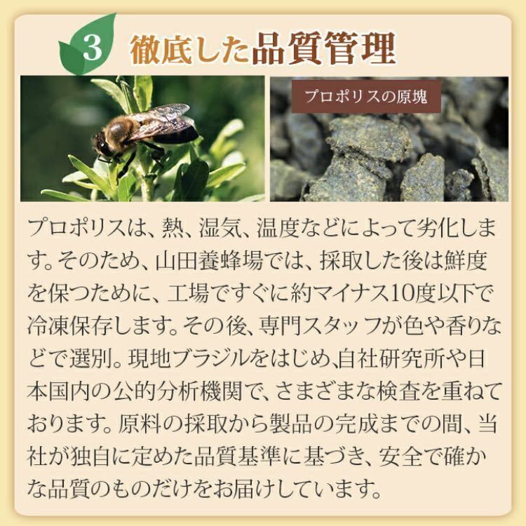 プロポリス300 100球×5 ５袋セット　山田養蜂場 新品未開封 山田養蜂場 プロポリス300 プロポリス サプリ サプリメント 100球