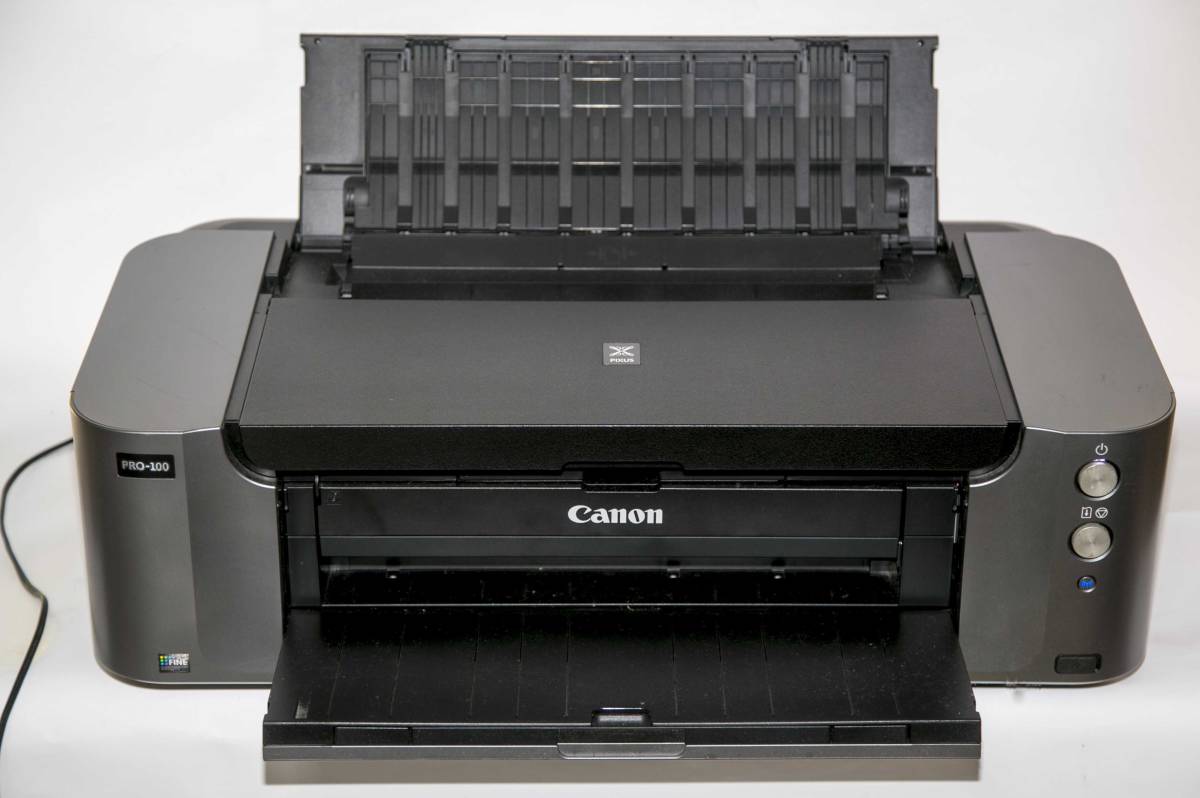 Canon キヤノン PIXUS Pro-100 インクジェットプリンター A3ノビ 動作