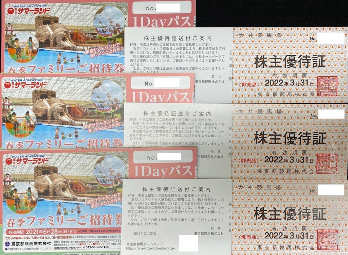 A137 サマーランド/株主優待/3冊/ご招待券(21年6月28日迄)分×12枚/(21 