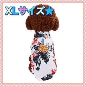 犬 服 アロハの平均価格は870円 ヤフオク 等の犬 服 アロハのオークション売買情報は8件が掲載されています