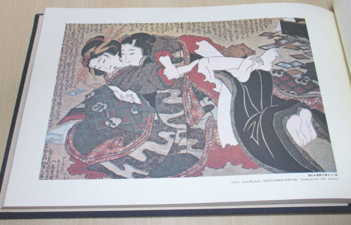 即決 浮世絵名作集☆秘画 枕絵 春画集☆葛飾北斎・円山応挙・