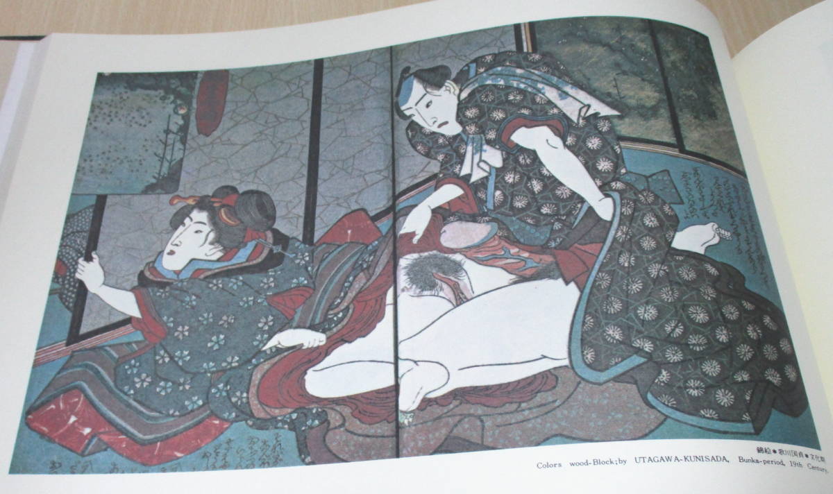 即決 浮世絵名作集☆秘画 枕絵 春画集☆葛飾北斎・円山応挙・