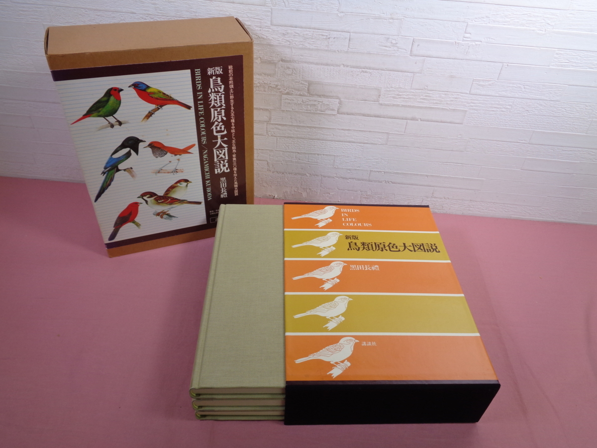鳥類原色大図説 新版 黒田長礼 3冊セット 公式通販 | &frasl; 明倫館書店 全3巻 鳥類 黒田長禮：鳥類原色大図説。小林重三の博物画 mizusumashi-tei みず : (保育社の原色図鑑 |本