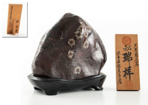 岐阜県根尾谷産 優品！天然原石 観賞石 飾石 盆石 水石 天然菊花石 銘