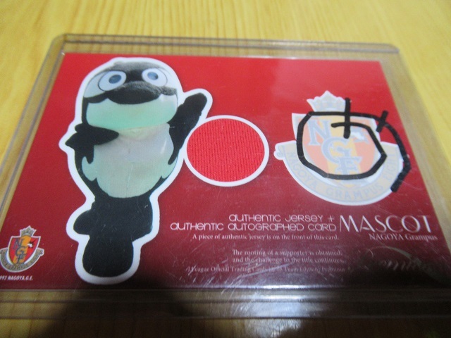 中町公祐】2014 横浜F・マリノス スペシャルエディション 直書き金