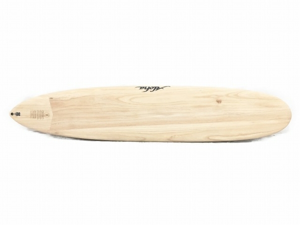 9'6“HOBIE SURFBOARDS Tyler Warren Pig(Transition Model) タイラー