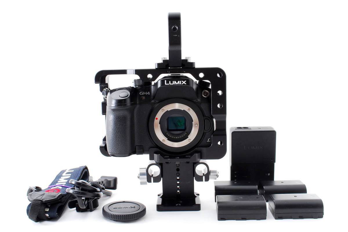 Panasonic Lumix DC-G99 ボディ [純正予備バッテリー付き]