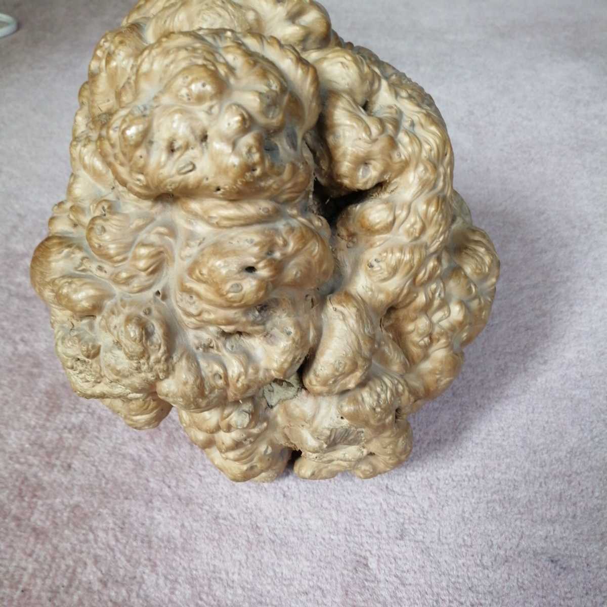 根木 瘤 天然木 | 飾台 瘤材 玉杢花台 盆栽台