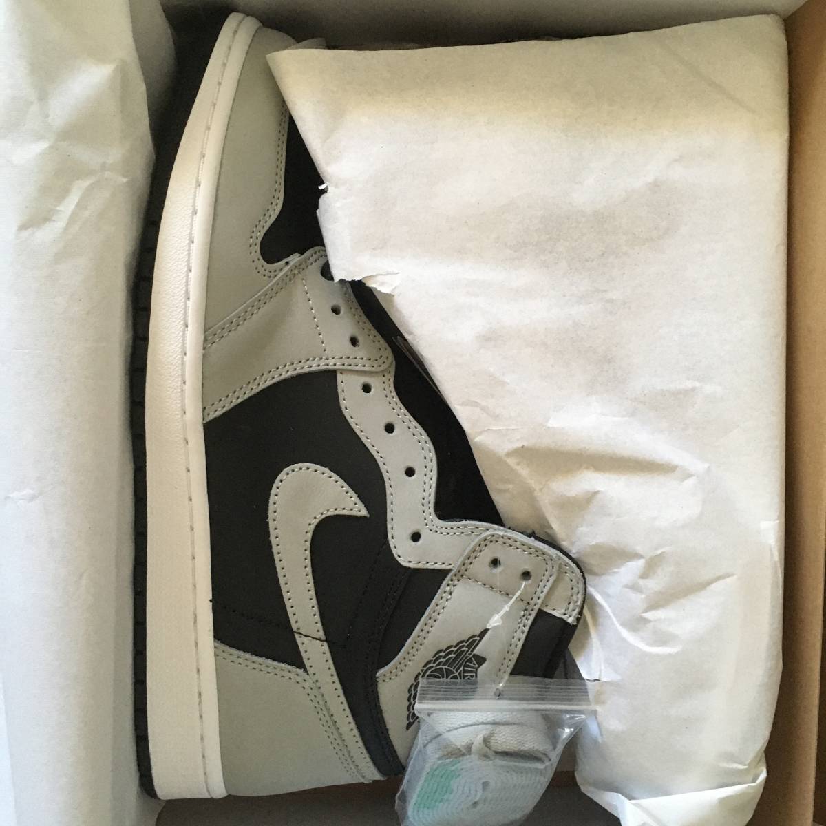 送料無料 新品 未試着 29.0cm NIKE Air Jordan 1 Retro High OG 