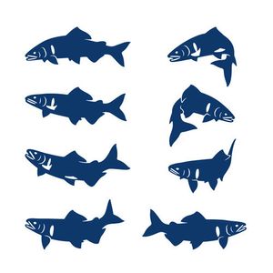 魚ステッカーのヤフオク!の相場・価格を見る｜ヤフオク!の魚ステッカー 