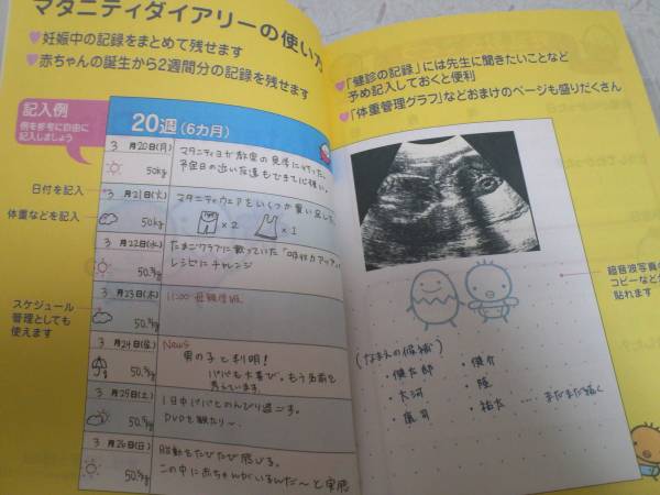 たまひよ マタニティダイアリー 妊娠日記 その他 売買されたオークション情報 Yahooの商品情報をアーカイブ公開 オークファン Aucfan Com