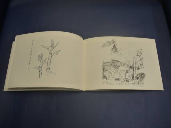 水彩画 デッサン集 青野馬左奈のスケッチブック その他 売買されたオークション情報 Yahooの商品情報をアーカイブ公開 オークファン Aucfan Com