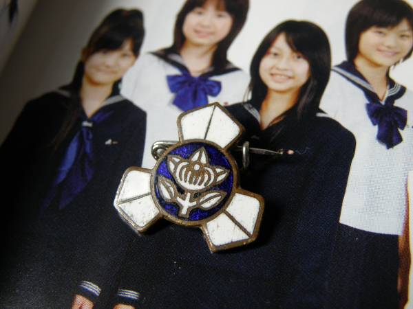 佼成学園女子高校 校章バッジ 有名私立女子校バッチ制服 その他 売買されたオークション情報 Yahooの商品情報をアーカイブ公開 オークファン Aucfan Com