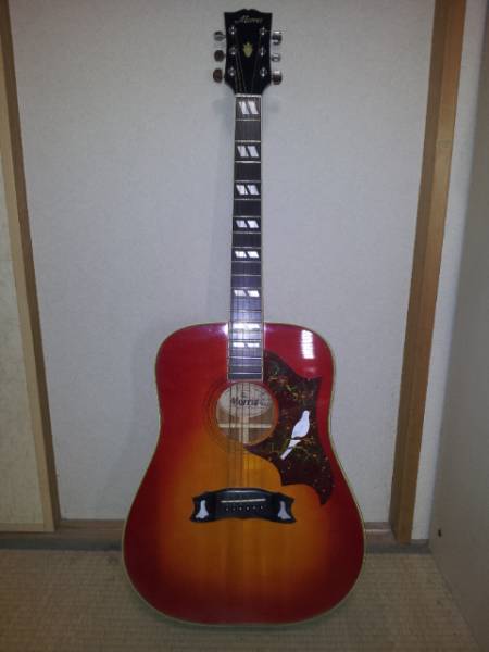 モーリス Wd 30 ハミングバード オールドギター モーリス 売買されたオークション情報 Yahooの商品情報をアーカイブ公開 オークファン Aucfan Com