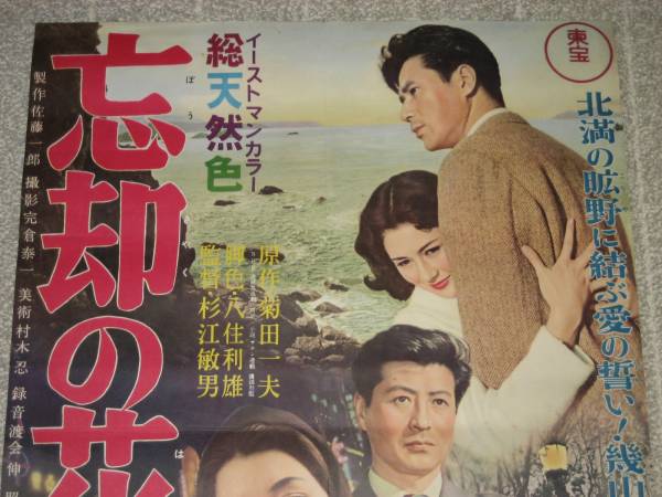 忘却の花びら 昭和32年 池部良 司葉子 草笛光子 小泉博 B2(映画)|売買されたオークション情報、yahooの商品情報をアーカイブ公開 ...