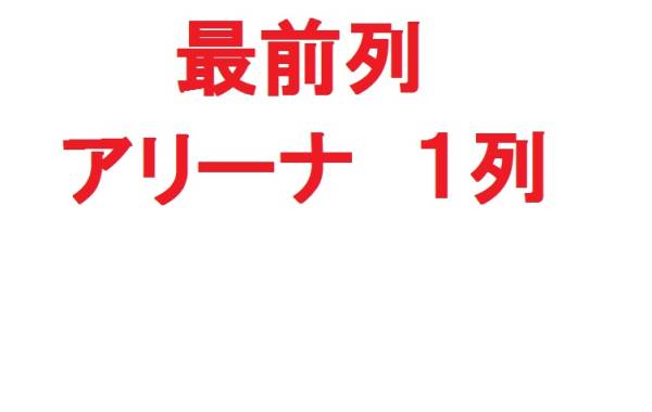 最前列 10 5 a 大阪城ホール アリーナ 1列 1 2枚 大阪 売買されたオークション情報 Yahooの商品情報をアーカイブ公開 オークファン Aucfan Com