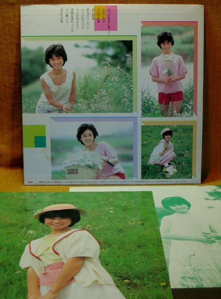 嗚呼アイドル 長谷川真弓 トゥインクル Lp 東海林修赤い鳥 ジャパニーズポップス 売買されたオークション情報 Yahooの商品情報をアーカイブ公開 オークファン Aucfan Com