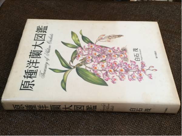 原種洋蘭大図鑑 ラン 野草 植物 売買されたオークション情報 Yahooの商品情報をアーカイブ公開 オークファン Aucfan Com