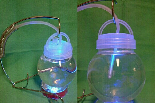 幼クラゲ飼育セット 生体含む 初心者 も大丈夫ｖ 海水魚 売買されたオークション情報 Yahooの商品情報をアーカイブ公開 オークファン Aucfan Com