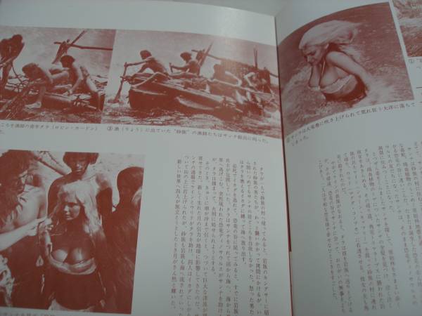 映画パンフ 恐竜時代 ビクトリアべトリ ｒホードン 郵送164 アクション アドベンチャー 売買されたオークション情報 Yahooの商品情報をアーカイブ公開 オークファン Aucfan Com