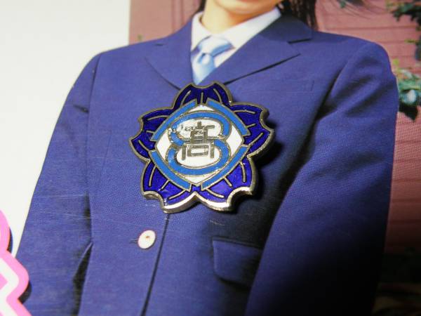 渋川女子高校 校章バッジ 進学校の女子校 制服 バッチ レディースファッション 売買されたオークション情報 Yahooの商品情報をアーカイブ公開 オークファン Aucfan Com