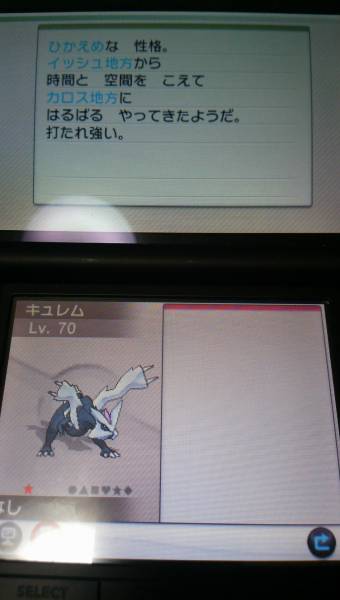 ポケモンxy 対戦 色違いひかえめ6vキュレム ニンテンドー3ds専用ソフト 売買されたオークション情報 Yahooの商品情報をアーカイブ公開 オークファン Aucfan Com