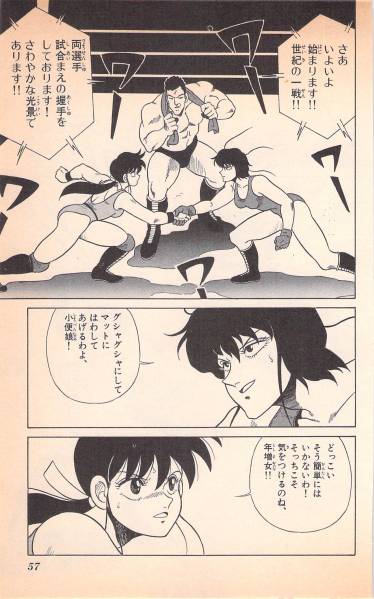 女子プロレス 漫画 キャットファイト 収録コミック 少年 売買されたオークション情報 Yahooの商品情報をアーカイブ公開 オークファン Aucfan Com