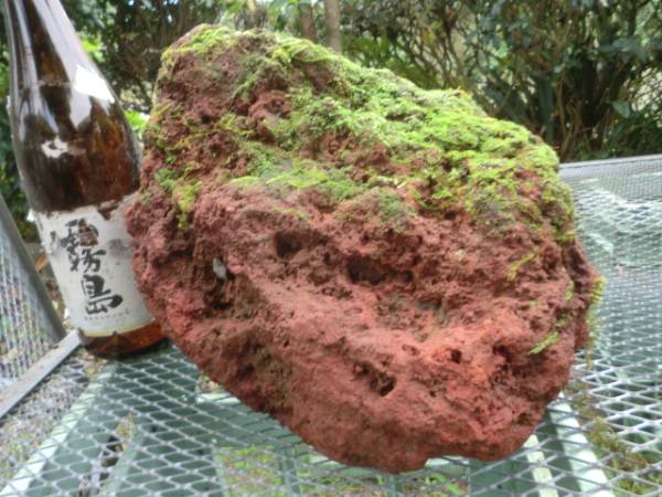 飾り石 岩松 赤溶岩石 超特大 苔付き エ その他 売買されたオークション情報 Yahooの商品情報をアーカイブ公開 オークファン Aucfan Com
