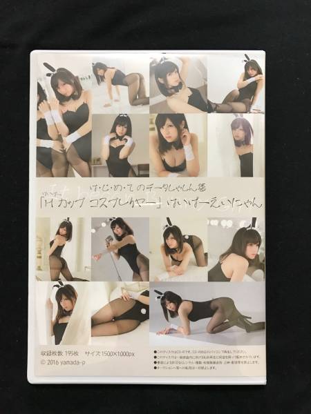 はいぱーえいにゃん コスプレ写真集romバニーガールはじめました その他 売買されたオークション情報 Yahooの商品情報をアーカイブ公開 オークファン Aucfan Com
