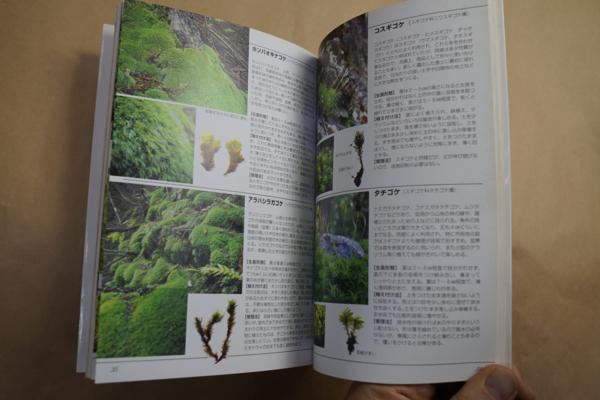 苔園芸コツのコツ 苔玉 苔鉢盆栽 苔盆景 木付け 石付け テラリウム 苔庭 03年農文協 定価1600円 野草 植物 売買されたオークション情報 Yahooの商品情報をアーカイブ公開 オークファン Aucfan Com