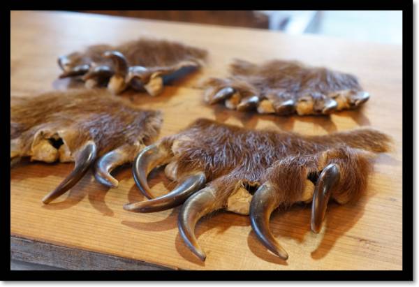 熊の手 爪 剥製 くま その他 売買されたオークション情報 Yahooの商品情報をアーカイブ公開 オークファン Aucfan Com