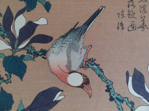 葛飾北斎 稀版浮世絵 文鳥と辛夷花 ぶんちょうとこぶし 大江戸木版社 木版画 売買されたオークション情報 Yahooの商品情報をアーカイブ公開 オークファン Aucfan Com