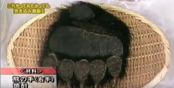 熊の手 ツキノワグマ 月の輪熊 ダウンタウンのガキの使い ジビエ 熊肉 クマの手 満漢全席 高級食材 中華 珍味の質問一覧