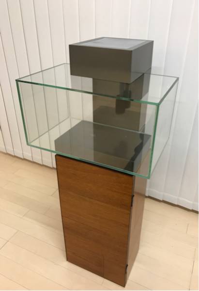 Gex グラステリア エッジ 訳あり 30cm 売買されたオークション情報 Yahooの商品情報をアーカイブ公開 オークファン Aucfan Com