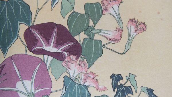 葛飾北斎 朝顔 未刊 錦絵六大家名画撰 浮世絵 木版画 木版画 売買されたオークション情報 Yahooの商品情報をアーカイブ公開 オークファン Aucfan Com
