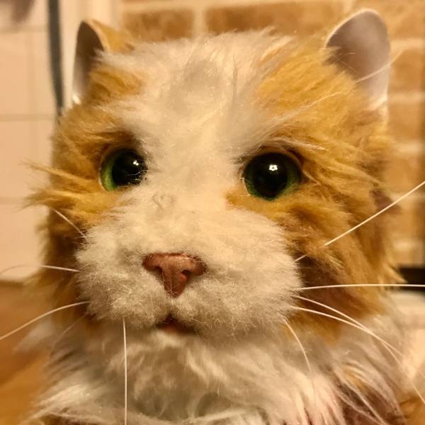 首輪 おしゃべり 夢ねこハート 夢ペット シリーズ ロボット ペット 600通り以上の おしゃべり その他 売買されたオークション情報 Yahooの商品情報をアーカイブ公開 オークファン Aucfan Com