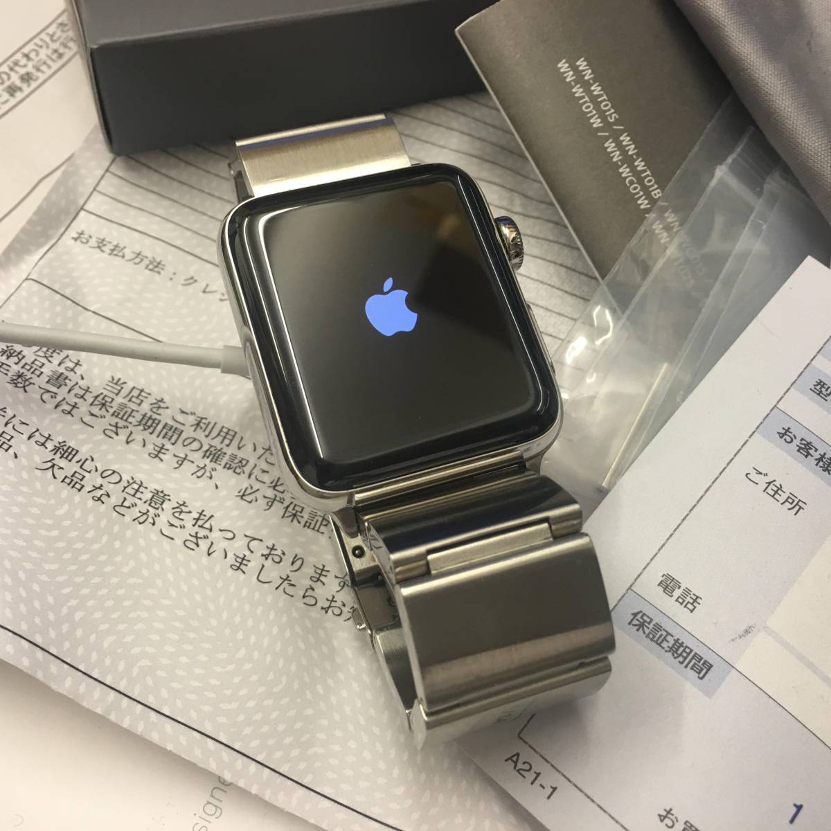 wena wrist pro apple watch
