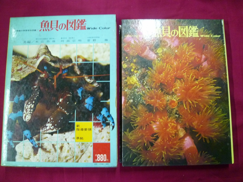 小学館の学習百科図鑑3 魚貝の図鑑 昭和49年7月10日第6刷発行 ｗ 図鑑 売買されたオークション情報 Yahooの商品情報をアーカイブ公開 オークファン Aucfan Com