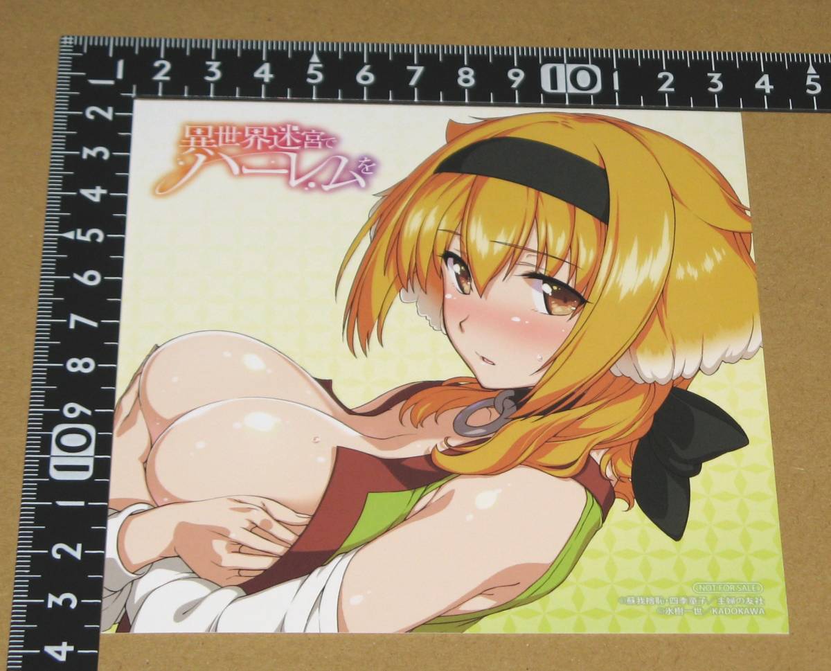 異 世界 迷宮 で ハーレム を 6 巻