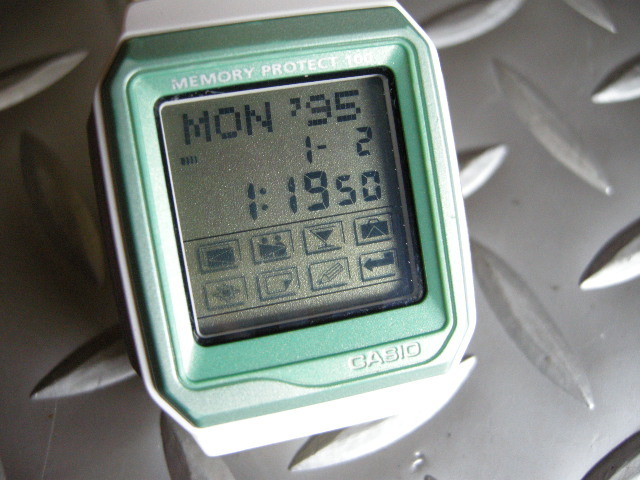 casio memory protect 100