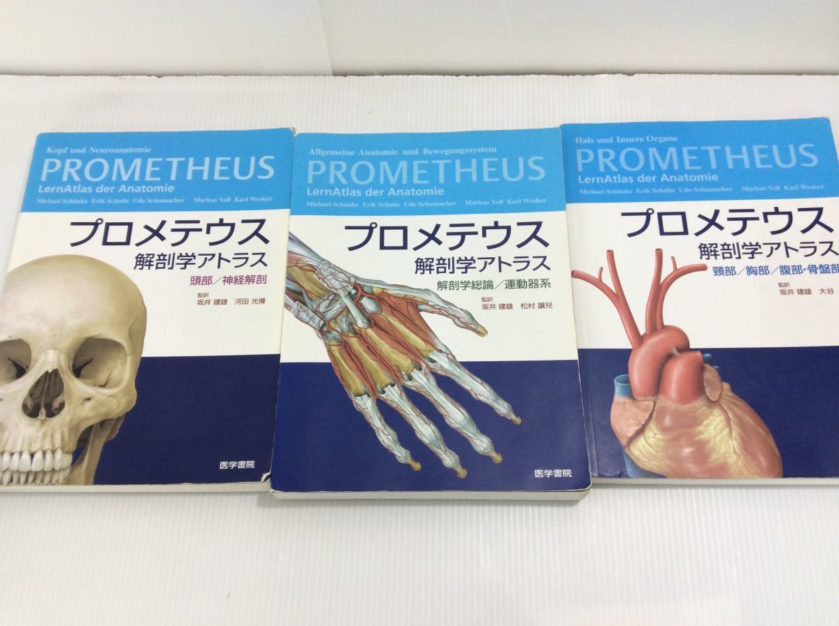 プロメテウス 解剖 学 アトラス