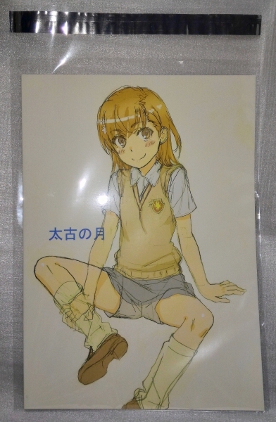 C94 コミケ 太古の月 Tokoroten Vol 06 田中雄一 夏コミ 新刊 とある科学の超電磁砲 アニメーター本 イラスト集 原画集 売買されたオークション情報 Yahooの商品情報をアーカイブ公開 オークファン Aucfan Com