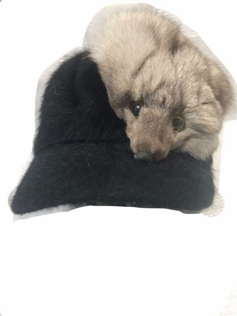 مرفأ فرق شرح たぬき の 帽子 Ffigh Org