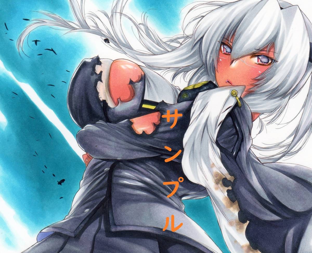 同人手描きイラスト 艦隊これくしょん 艦これ 武蔵改二 手描きイラスト 売買されたオークション情報 Yahooの商品情報をアーカイブ公開 オークファン Aucfan Com