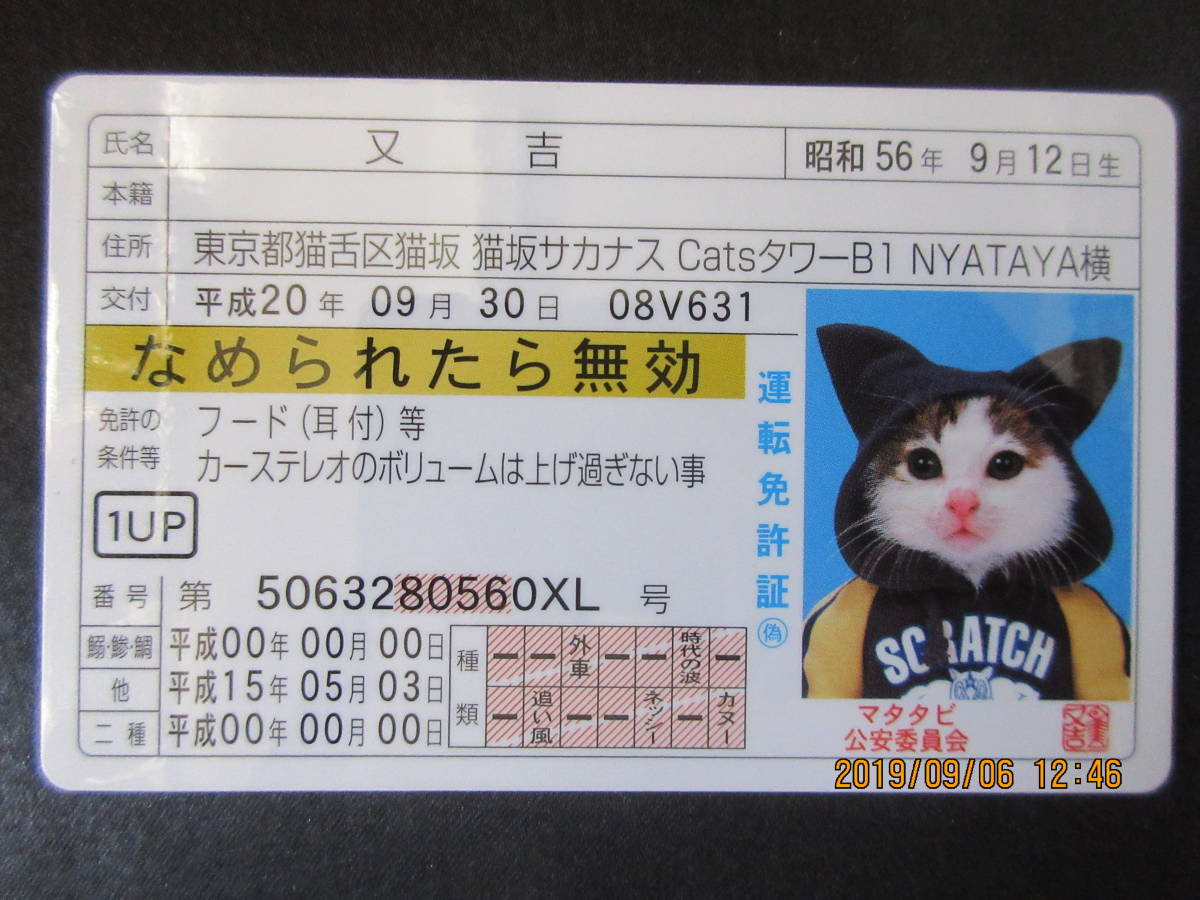 可愛い 又吉 なめ猫 ゴールド運転免許証 トレーディングカード 売買されたオークション情報 Yahooの商品情報をアーカイブ公開 オークファン Aucfan Com
