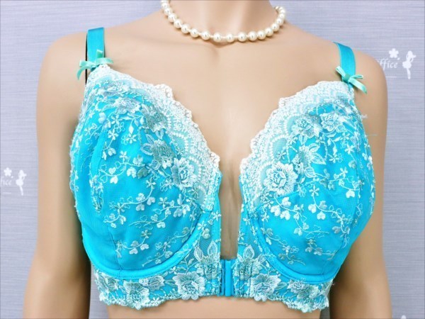 Cn2 364 トリンプ 豊かな胸を包み込む たっぷりお花柄 華やかな胸元 フロントホックブラ F90 Eカップ以上 売買されたオークション情報 Yahooの商品情報をアーカイブ公開 オークファン Aucfan Com
