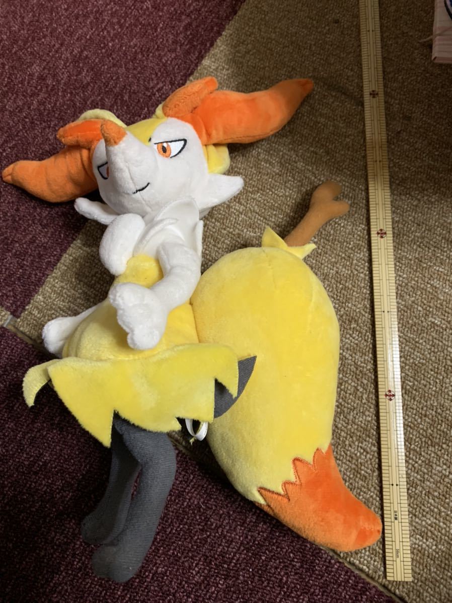 ポケモン ドール ぬいぐるみ テールナー ポケットモンスター 売買されたオークション情報 Yahooの商品情報をアーカイブ公開 オークファン Aucfan Com