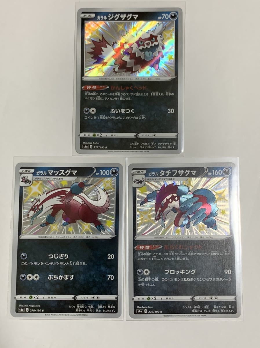 マッスグマ 色違い