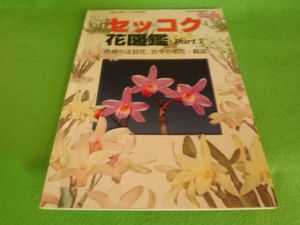 トップ100 セッコク 花 図鑑 美しい花の画像