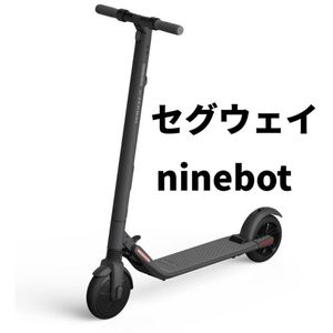 十代 気晴らし 小石 セグウェイ ヤフオク Schalwitzfreelanceco Com